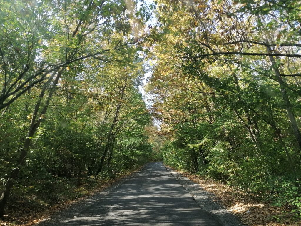 2022-10-09 Nach Istanbul