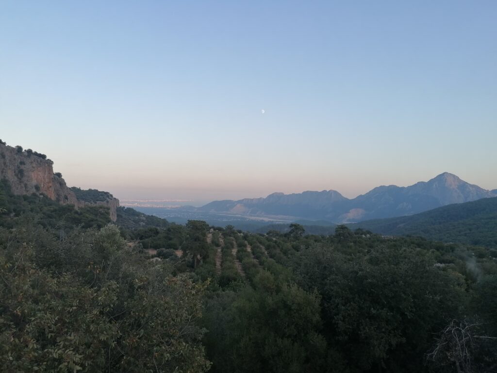 2022-11 Geyikbayiri / Antalya