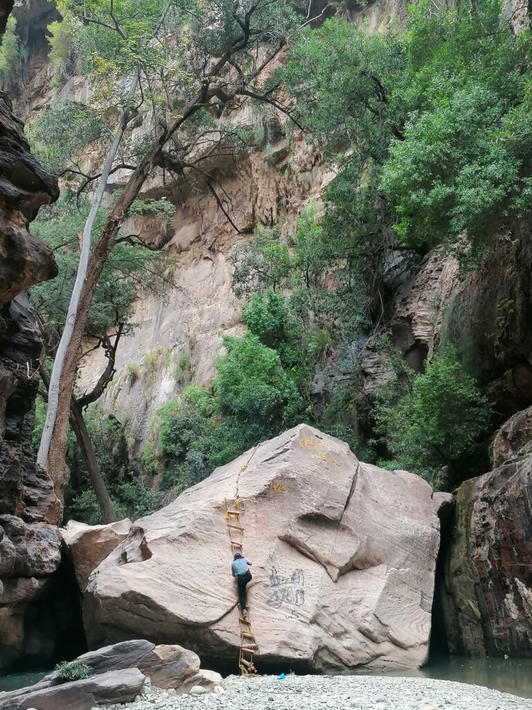 2023-03-12 Wadi Lajab